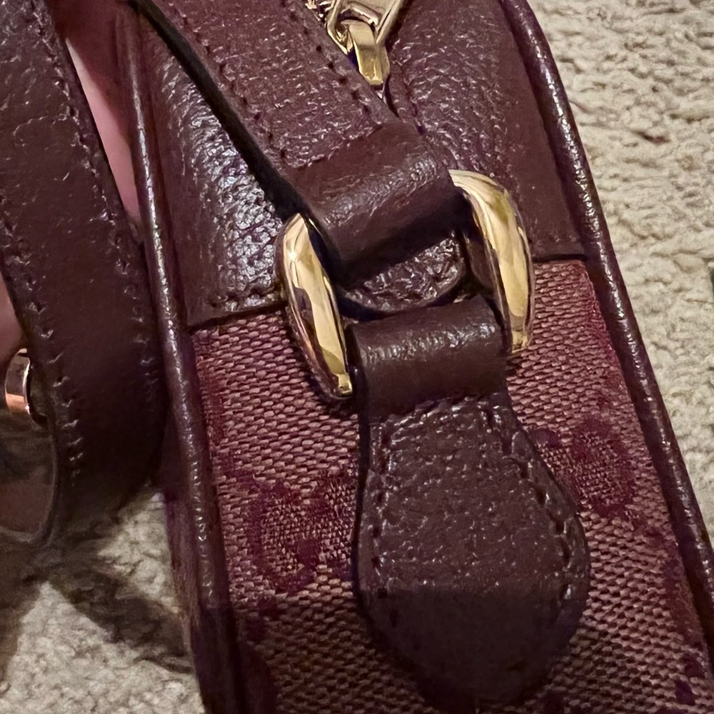 Authentic Ophidia mini bag with Web - Picture 9 of 16